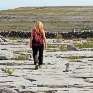 Burren Walks with expert local guide